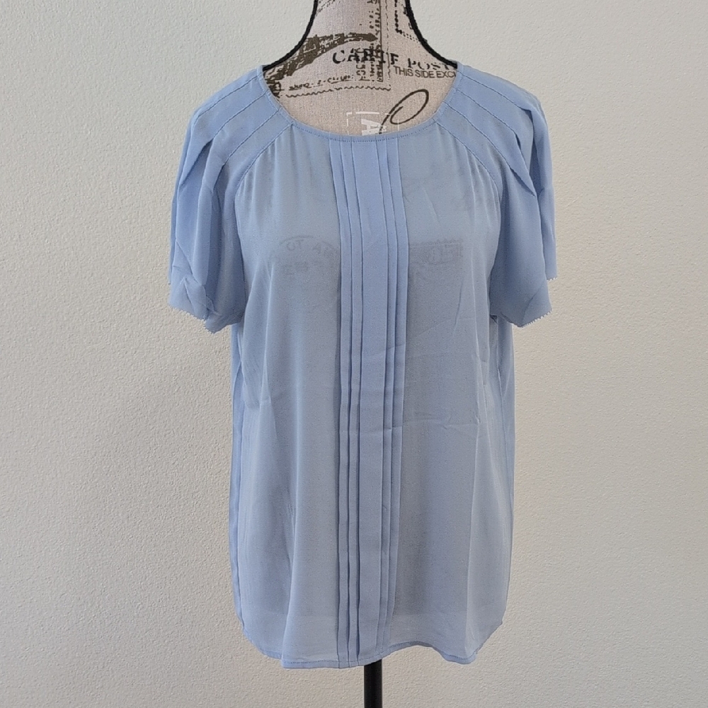 Banana Republic Soft Blue Pleated Blouse